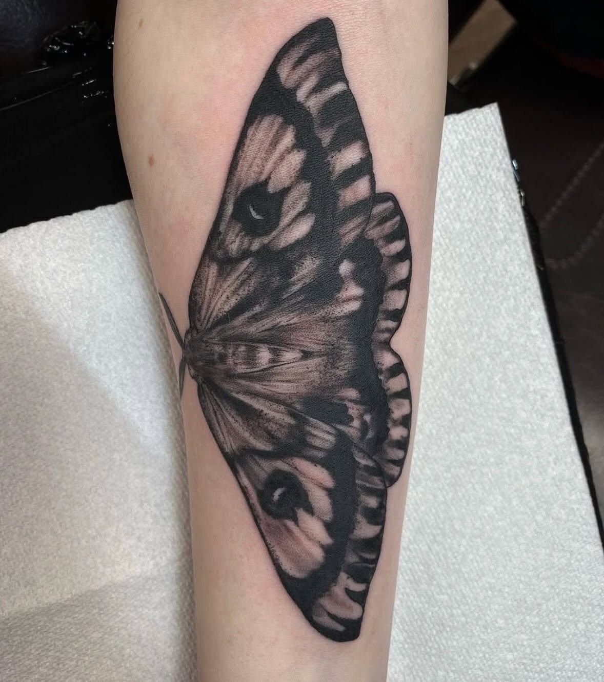 Moth tattoo